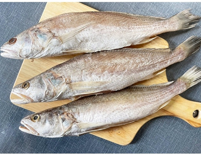 삼천포 용궁수산시장 반건조생선 가정용상품 모듬, 1개, 반건조 민어조기 (3~4미)