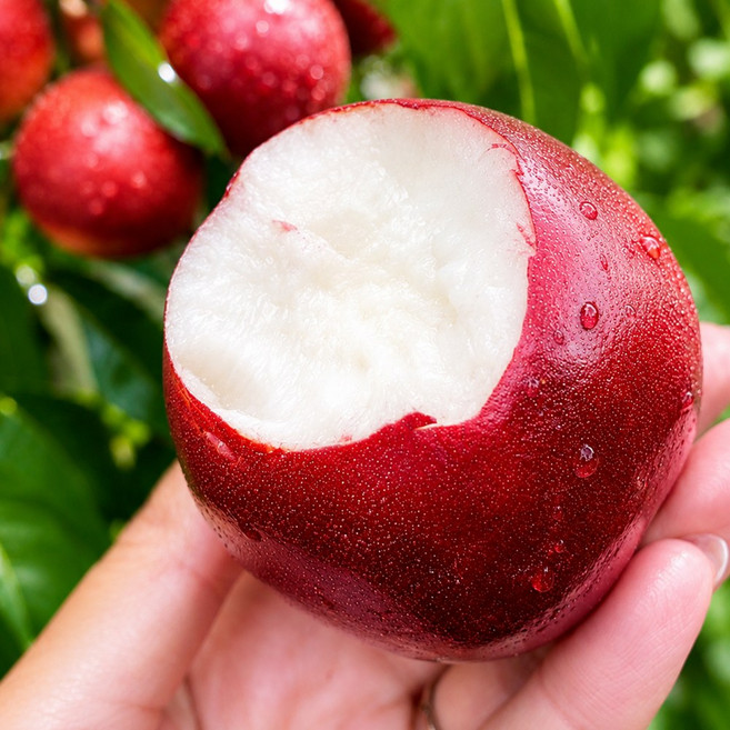 [2주한정판] 새콤달콤 과즙팡팡 신비복숭아 천도복숭아, 1박스, 1kg 소과