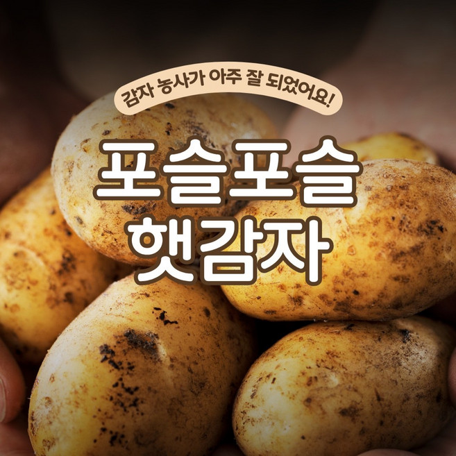 [수량소진시종료] 축제1위 포슬대마왕 제철 햇감자, 1개, 소(50g 이하) 5kg