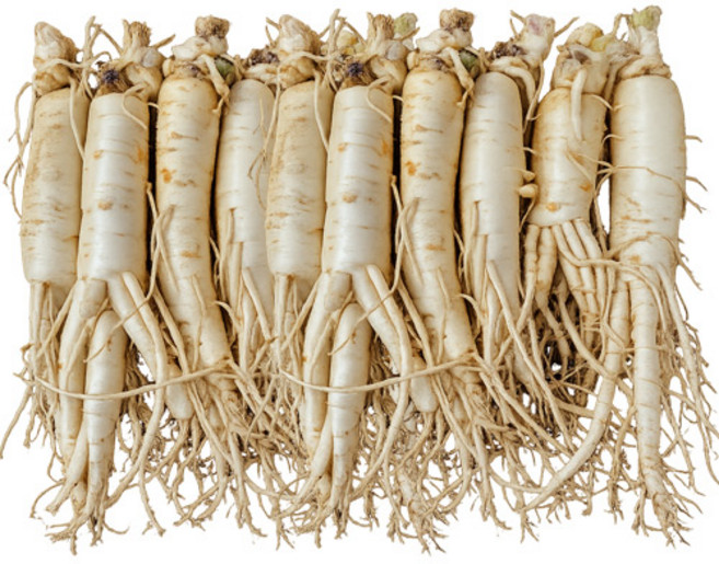 풍기인삼 6년근 최상품 황수삼 300g~1kg 산지직송 세척수삼 신선배송 건강선물 삼영인삼사, 1세트, 751g