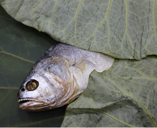 연잎으로 감싼 찜보리굴비 완전손질 내장 비늘 지느러미 제거 200g내외 선물세트 굴비선물, 7개