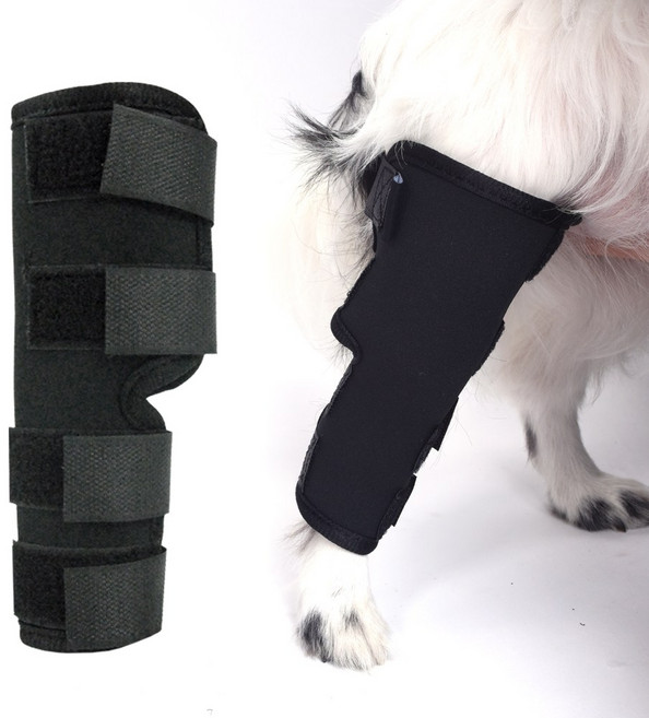 득템상회 강아지 슬개골 보호대 슬개골보호대 강아지슬개골보호대 강아지다리보호대 애견슬개골보호대 애견, 본상품선택