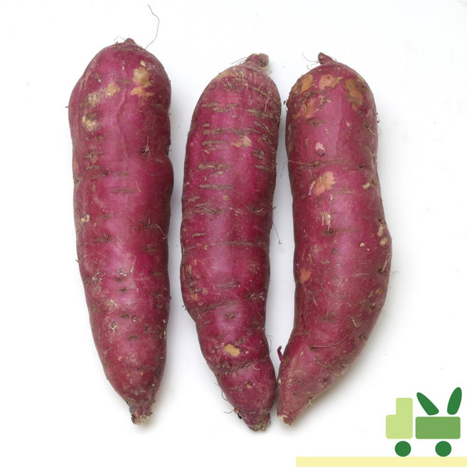 사라상회 고구마 1Kg (상/특/긴상/긴특), 1개