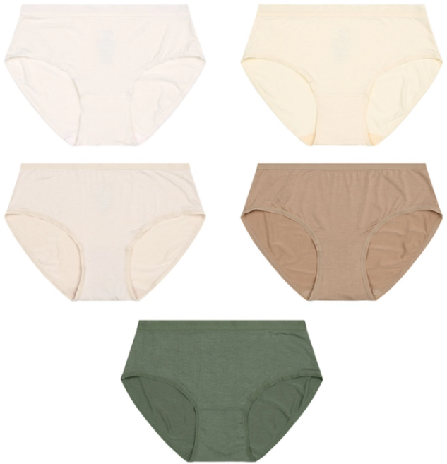 라페어 여자 부드럽고 시원한 착용감 팬티 1세트(5매) LRPS7