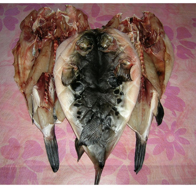 말린복어 반건조복어 자주복 참복 건조복어 건복 복어탕 복어조림 복어매운탕 복매운탕 복지리 복지리탕, 반건조참복(대복)1kg (2~3마리내외), 1개