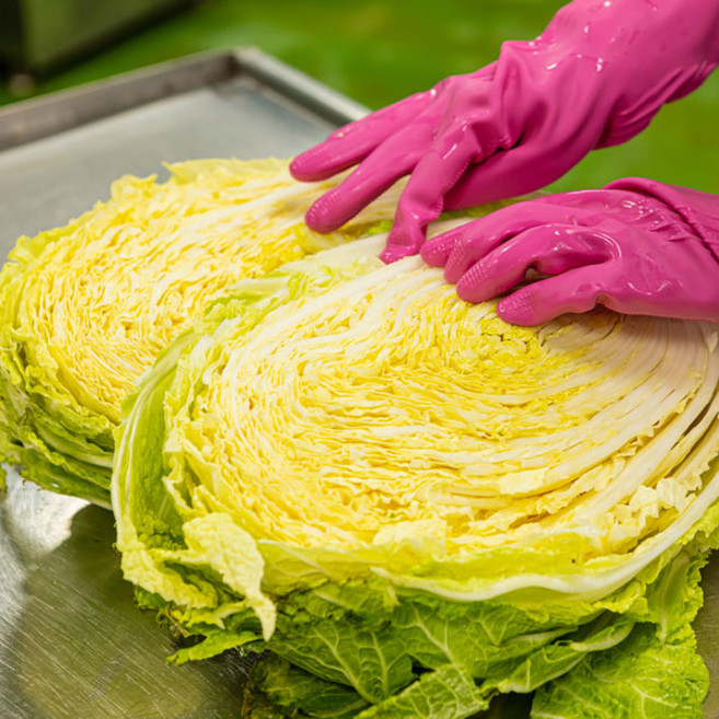 우리네 국산 신안 천일염 절임배추, 월요일제외하고 출고가능, 1개, 10kg