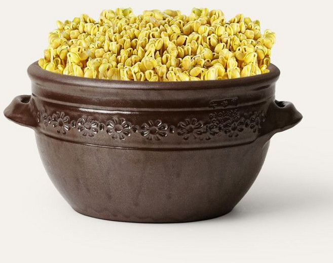 전통옹기 시루 콩나물재배 떡시루 화분 2size 키우기, 영암옹기 시루 (중), 1개