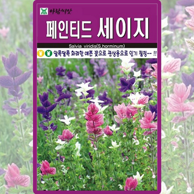 아람종묘 페인티드 세이지 씨앗 100립 세이지씨 허브 종자, 3개