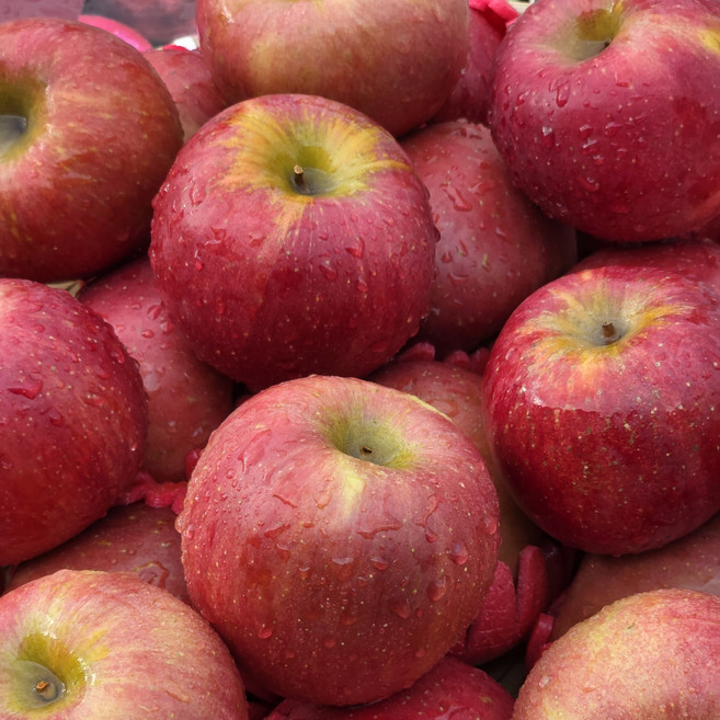 아침엔 과일 경북청송 당도선별한 가정용 못난이 부사사과, 1박스, 3kg