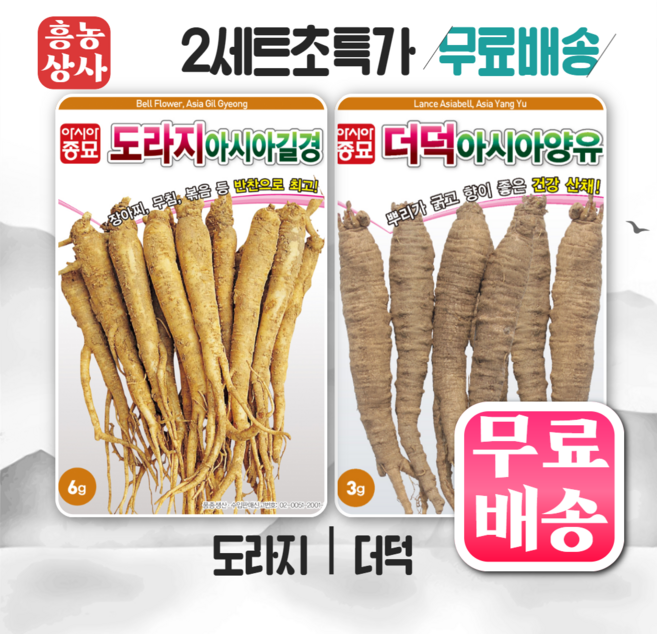 흥농상사 더덕 도라지 씨앗 2종세트 종자, 1세트