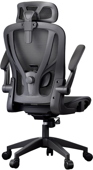 Xpanse W-902-Pro 人體工學椅, W902 Pro 黑色-四點支撐