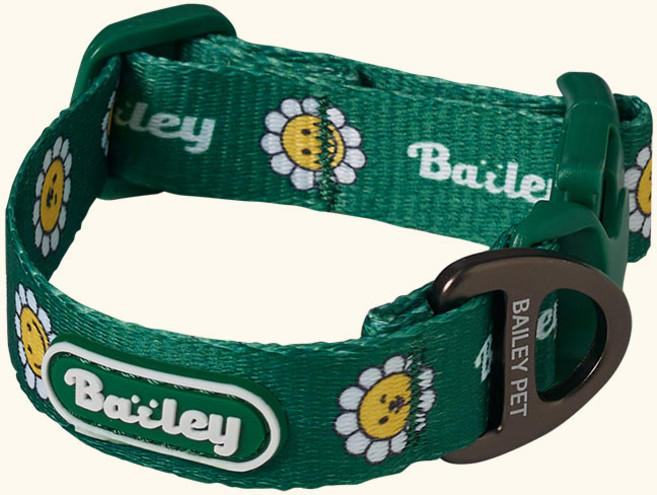 베일리펫 강아지 소형견 중형견 산책 데이지 워키 목줄, 1개, 그린