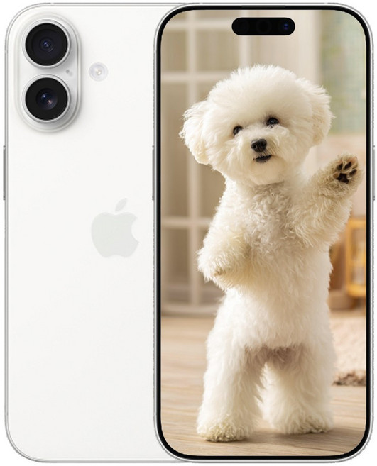 i폰17 미개봉 새상품, 256GB, 옵션명 아이폰 화이트