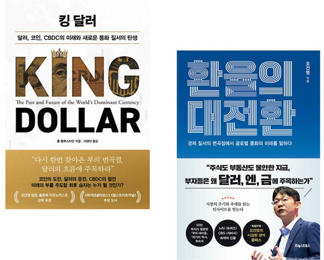 (폴 블루스타인/오건영) 킹 달러 + 환율의 대전환 (전2권)