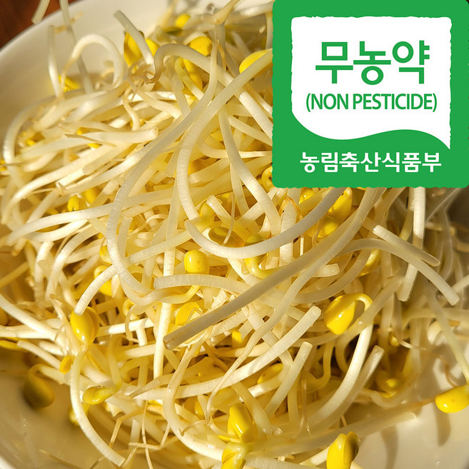 국내산 무농약 친환경 콩나물 대용량, 1박스, 1kg