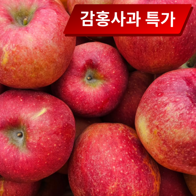 [한정100박스] 국내산 고당도 감홍사과 농가직송, 1박스, 2kg 중대과