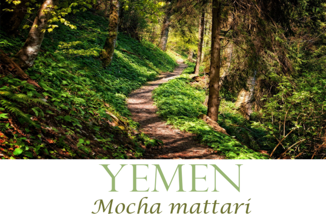 마이크로로스터즈 예멘 모카 마타리 100g 세계 3대커피 원두 당일로스팅 홀빈/분쇄, 01 홀빈, 1개