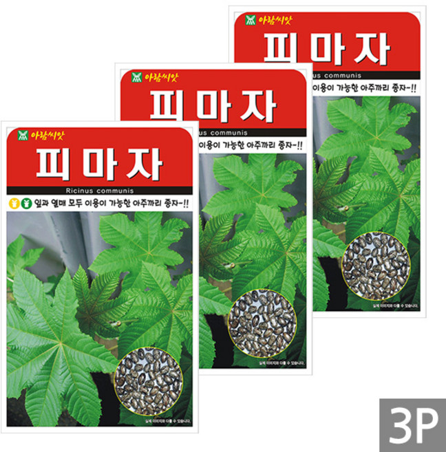 세인화분 피마자 50립 - 국산 아주까리 피마주 나물 씨 씨앗, 3개