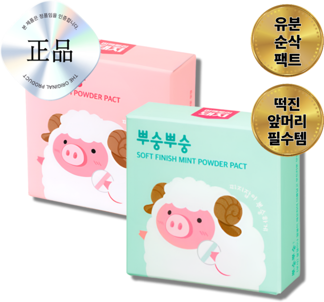 뿌숭뿌숭 파우더 팩트 유분 컨트롤, 1개, 민트+핑크