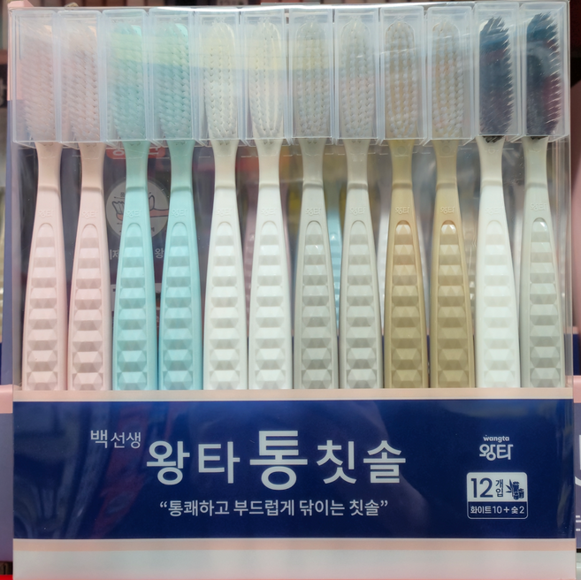 백선생 왕타 통칫솔 12입, 1개, 12개입