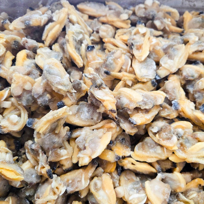 국내산 자숙 바지락살 500g 개별 급속냉동 순질 순살 바지락 조개살, 1개