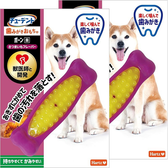 튜던트 칫솔질 장난감 본 M 소형~중형견 고구마 맛 ×2개 하트 Hartz 개 장난감 개 장난감 치약 수의사와 개발, 1개, 상세페이지 참조