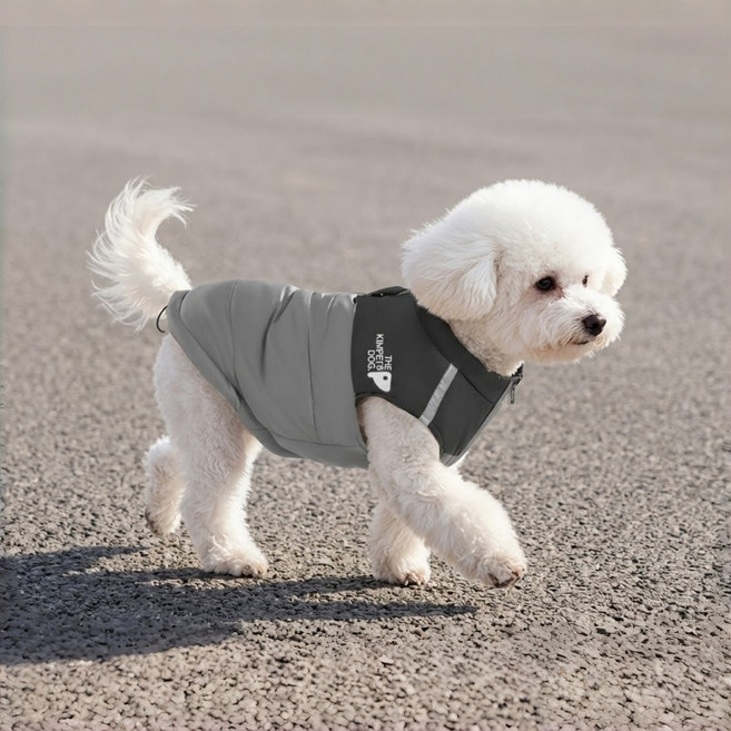 융풍 강아지 조끼 애견 옷 반려동물 의류 데일리 착용 패션 디자인 편안한 착용 외출용 강아지 의류, 1개, 그레이