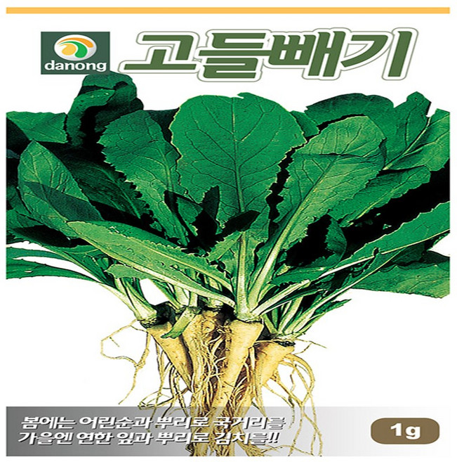 (아람종묘) 고들빼기 3천립 특유의 맛과 향이 좋은 국산 재래종 채소 씨앗, 1개