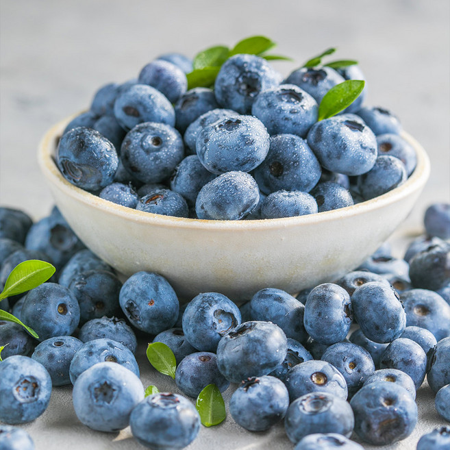 나나점빵 정품 국내산 블루베리, 10개, 100g (16~18mm)