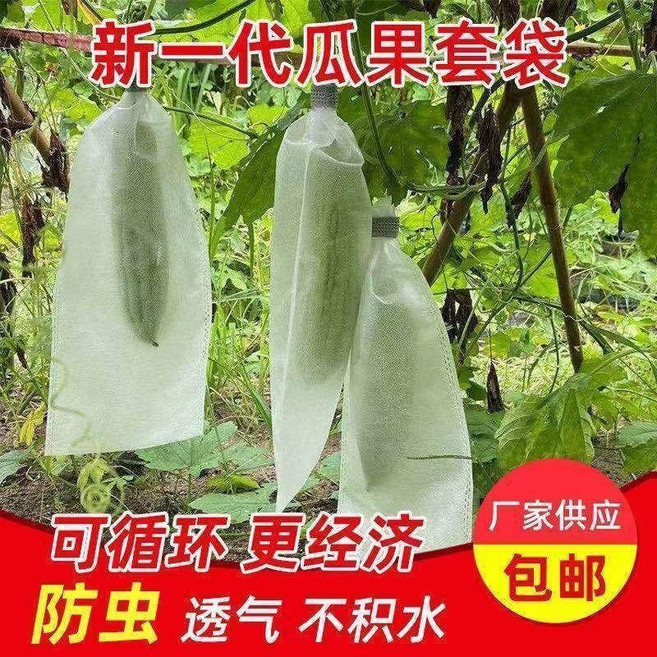 無紡佈瓜果套袋 苦瓜青瓜絲瓜羊角蜜專用袋 防蟲透氣保護, 1個, 大號款,第8代抽繩式50個