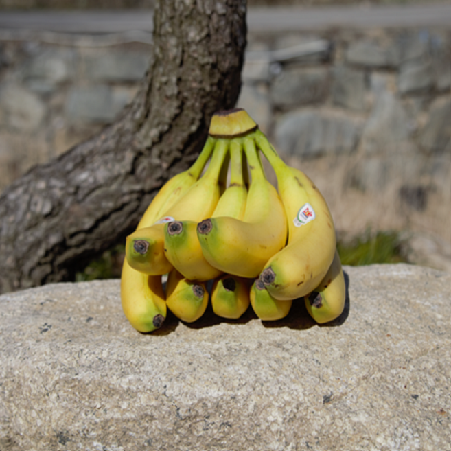 Extra Sweet Imported Bananas, 1박스, 2 pieces