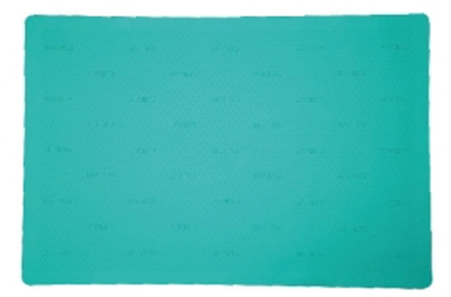 대형 친환경 실리콘 미끄럼방지매트 NT-3001 91cm*61cm 노인 낙상방지 화장실 욕실 논슬립 바닥 현관 패드 깔판 논슬립 노인 장기요양 복지용구 실버용품 요양등급, NT-3001 대형(청록색), 일반구매, 1개