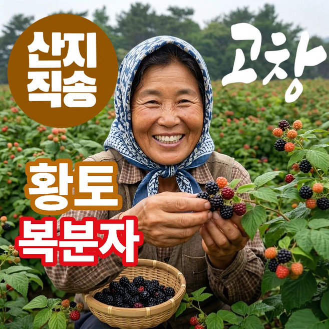 더맛곳간 국내산 고창 복분자 열매 냉동 토종복분자 농가직송, 1개, 5kg 특품