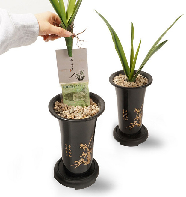 뽑으면 돈이 나오는 난초 용돈박스, 1개