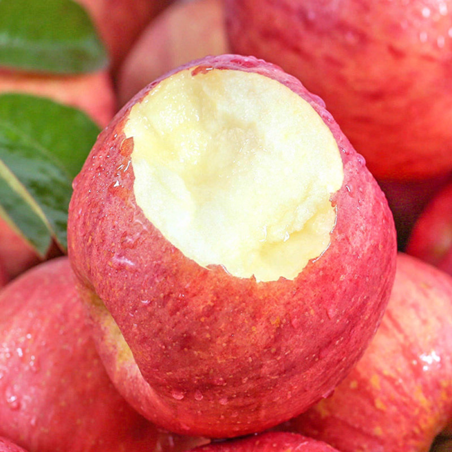 [사과판매율1위] 재구매율1위꿀가득 청송사과 우수농가 부사사과, 1박스, 5kg 소과