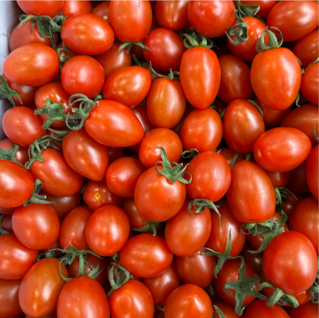 당일수확 국내산 대추방울토마토 로얄과 2번사이즈, 5kg, 1개