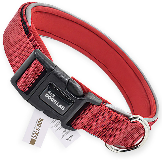 독스랩 강아지 중형견 대형견 목줄, 레드, 1개