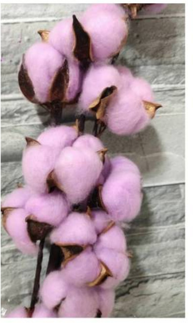 染色乾燥棉花 手作DIY花材 淡紫淺藍白色系 居家佈置裝飾, 淡紫1朵-不含鐵絲