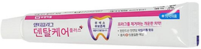 부광약품 안티프라그 덴탈케어 치약 무보존제, 50g, 10개