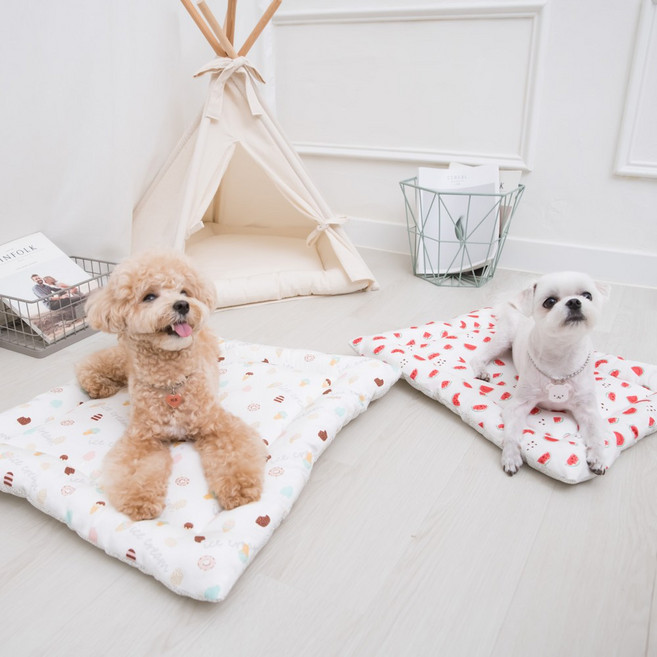 올마이펫 시원하고 도톰한 인견강아지 쿨방석매트, 블루도트, 1개