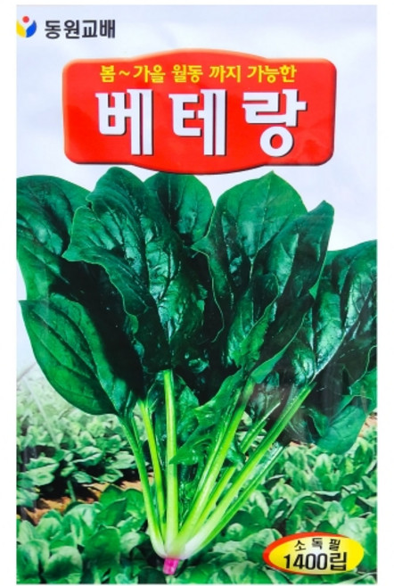 영농사 베테랑 시금치 씨앗 1400립 봄가을 월동까지 가능한 시금치씨, 2개, 베테랑시금치