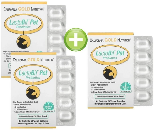 캘리포니아골드뉴트리션 LactoBif 반려동물 프로바이오틱스 50억 CFU 베지 캡슐 60정, 위, 3개 - 쿠팡