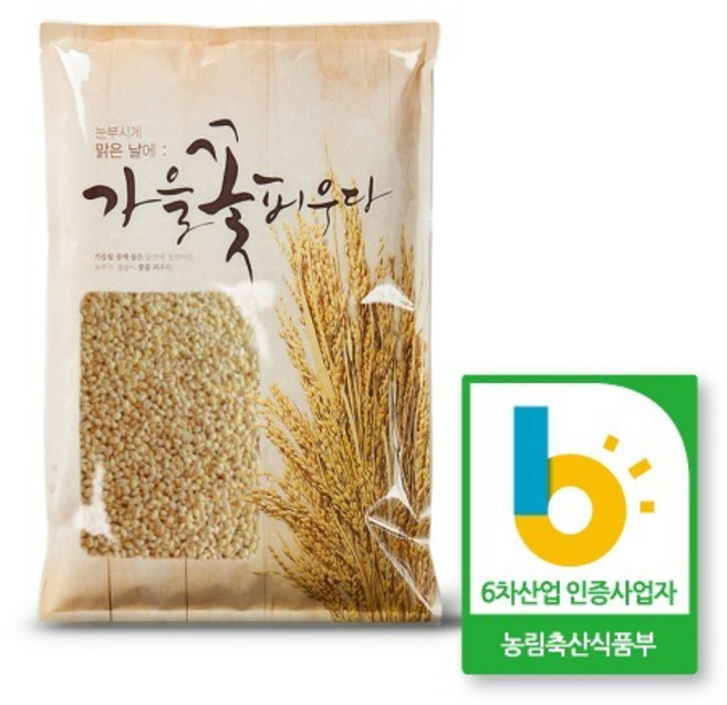 찰보리쌀 찹쌀보리 5kg 꽁보리 찰보리밥 보리쌀, 1개
