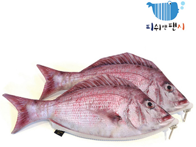피쉬앤팬시 참돔 물고기 필통, 혼합색상, 1개