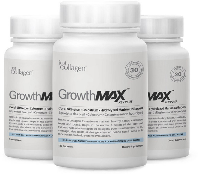 그로스맥스 키플러스 성장기 영양제품, 120정, 3개