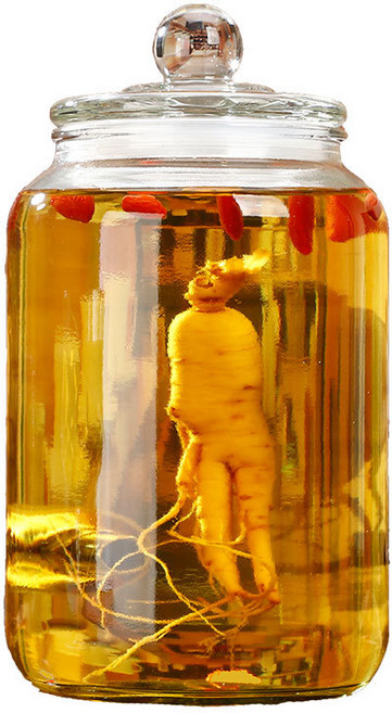 가정용 대용량 담금주병 투명 유리 과실주 효소병 음료 밀크티 콜라통, 10L, 한 통, 1개