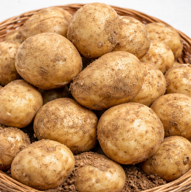 국내산 수미감자 햇감자, 1개, 5kg (중)