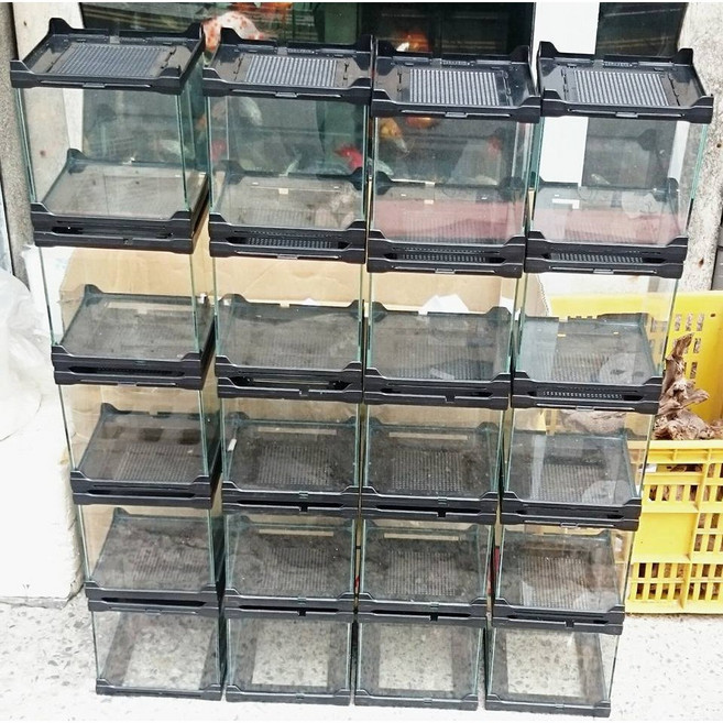角蛙缸 堆疊缸 多功能水族爬蟲寵物缸 鬥魚缸 小型缸, 1個, 一個 (店到店一次最多2個)