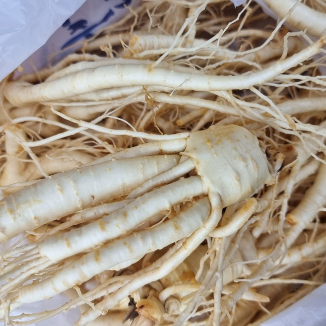 실속형 풍기인삼 6년근 무료세척 한보인삼사, 270g, 1세트