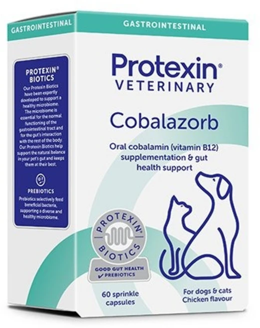 프로텍신 코발라플렉스 B12 B9 엽산 반려견 반려묘 개 고양이 60캡슐, 60정, 종합영양제, 1개 - 쿠팡